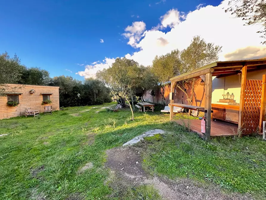 Immagine 7 di Capannone industriale in vendita  in Via Lu mangoni a Olbia