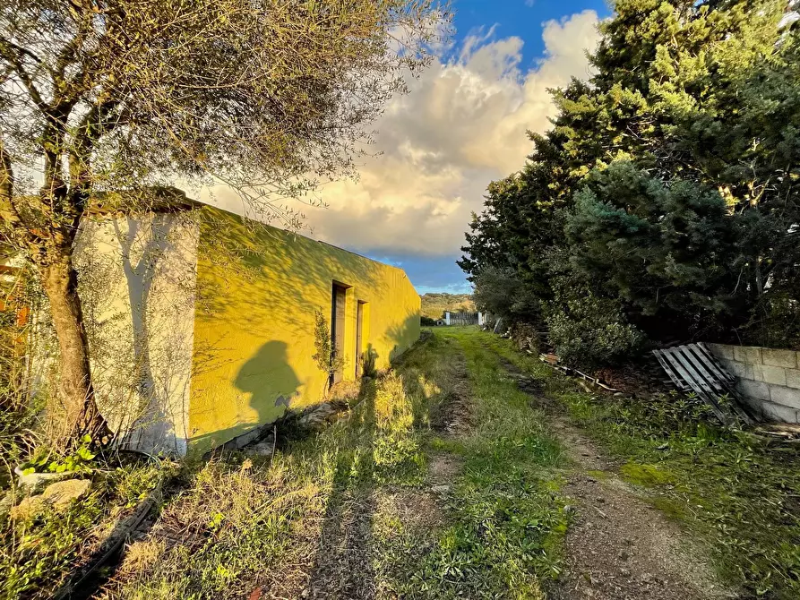 Immagine 11 di Capannone industriale in vendita  in Via Lu mangoni a Olbia