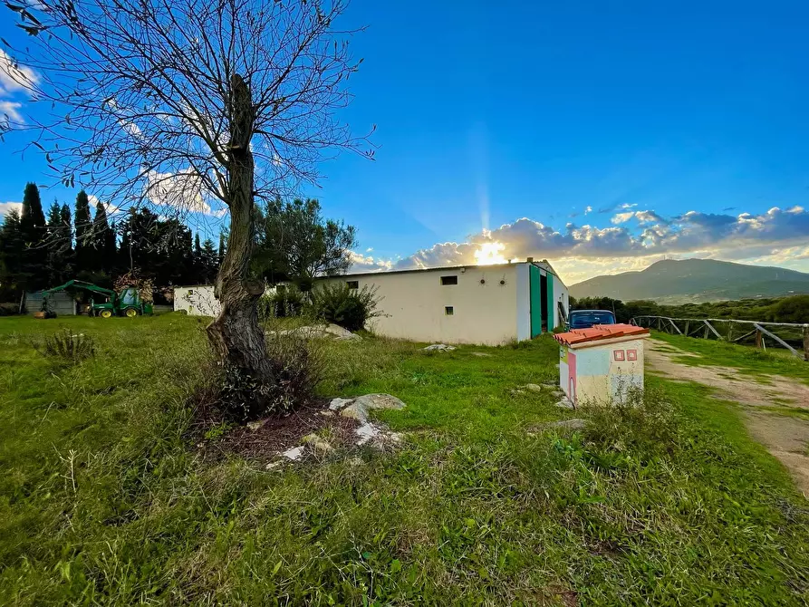 Immagine 12 di Capannone industriale in vendita  in Via Lu mangoni a Olbia