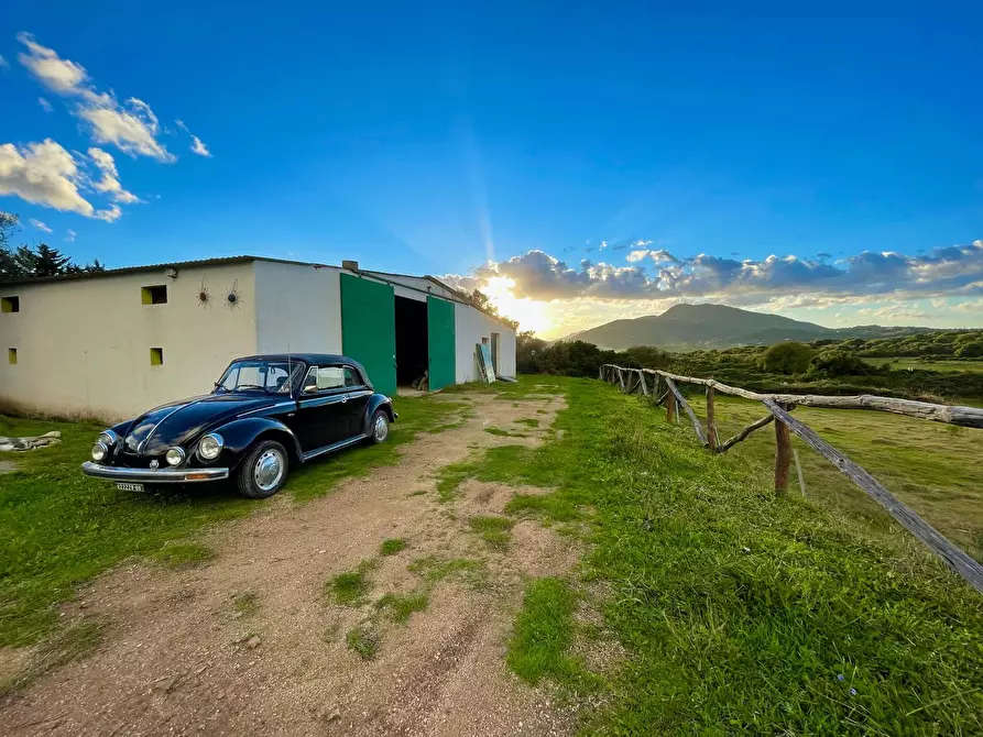 Immagine 4 di Capannone industriale in vendita  in Via Lu mangoni a Olbia