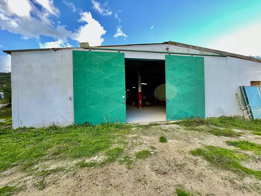 Immagine 13 di Capannone industriale in vendita  in Via Lu mangoni a Olbia