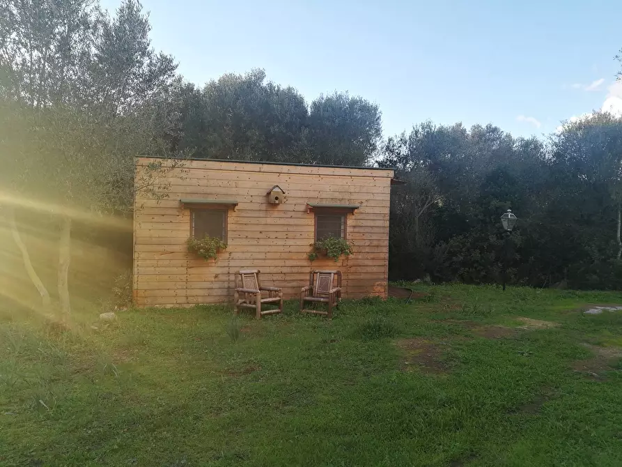 Immagine 25 di Capannone industriale in vendita  in Via Lu mangoni a Olbia