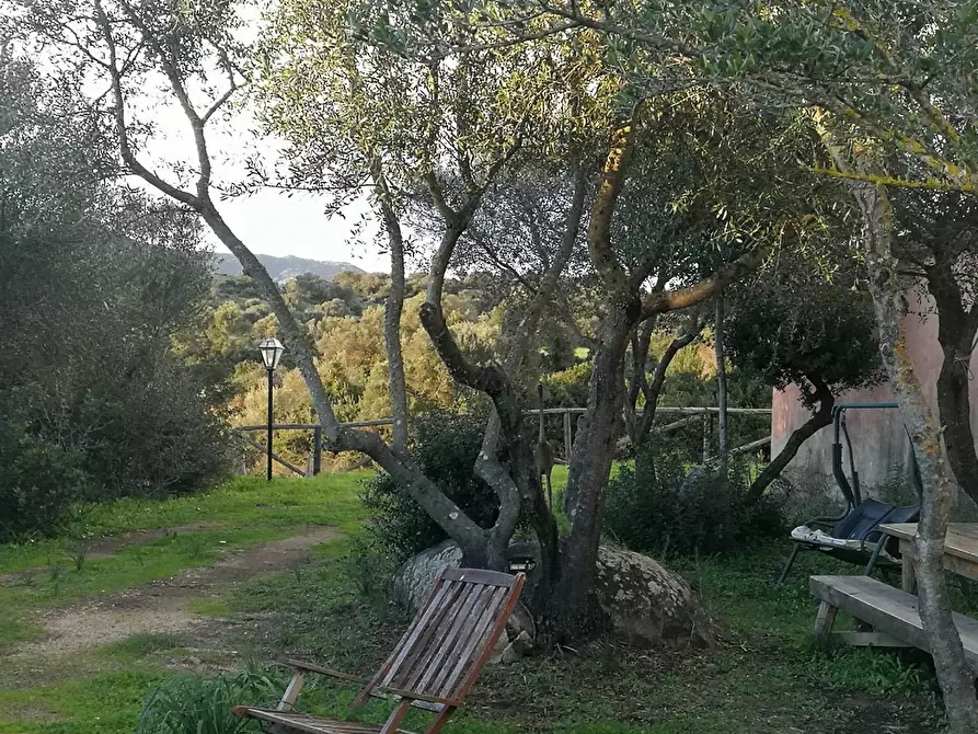 Immagine 28 di Capannone industriale in vendita  in Via Lu mangoni a Olbia