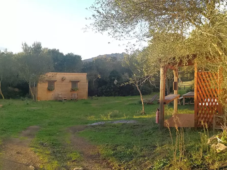 Immagine 29 di Capannone industriale in vendita  in Via Lu mangoni a Olbia