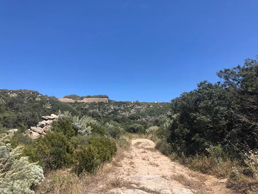 Immagine 8 di Terreno residenziale in vendita  in Nido d'aquila a La Maddalena