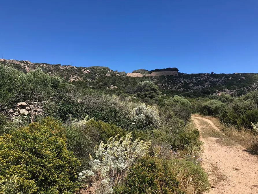 Immagine 9 di Terreno residenziale in vendita  in Nido d'aquila a La Maddalena
