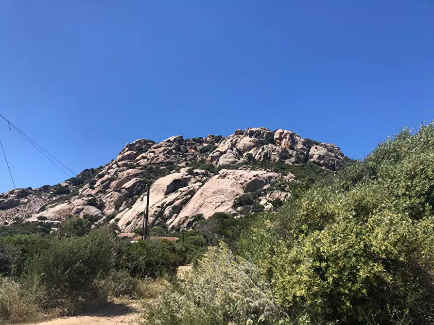 Immagine 6 di Terreno residenziale in vendita  in Nido d'aquila a La Maddalena