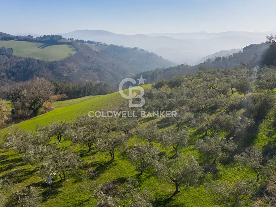 Immagine 3 di Villa in vendita  in Via Valmala a Mondaino