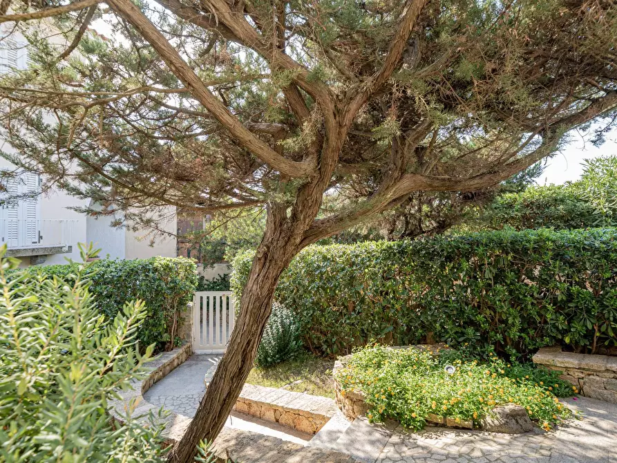 Immagine 20 di Appartamento in vendita  in Porto Rotondo a Olbia