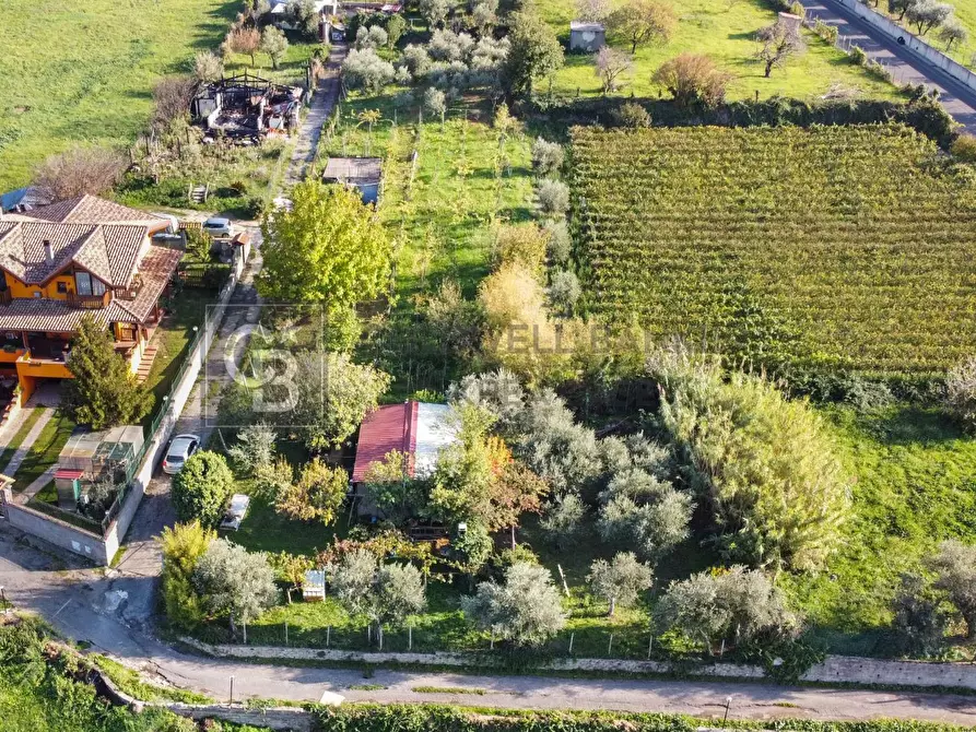 Immagine 1 di Terreno agricolo in vendita  in Via Castel de Paolis a Grottaferrata