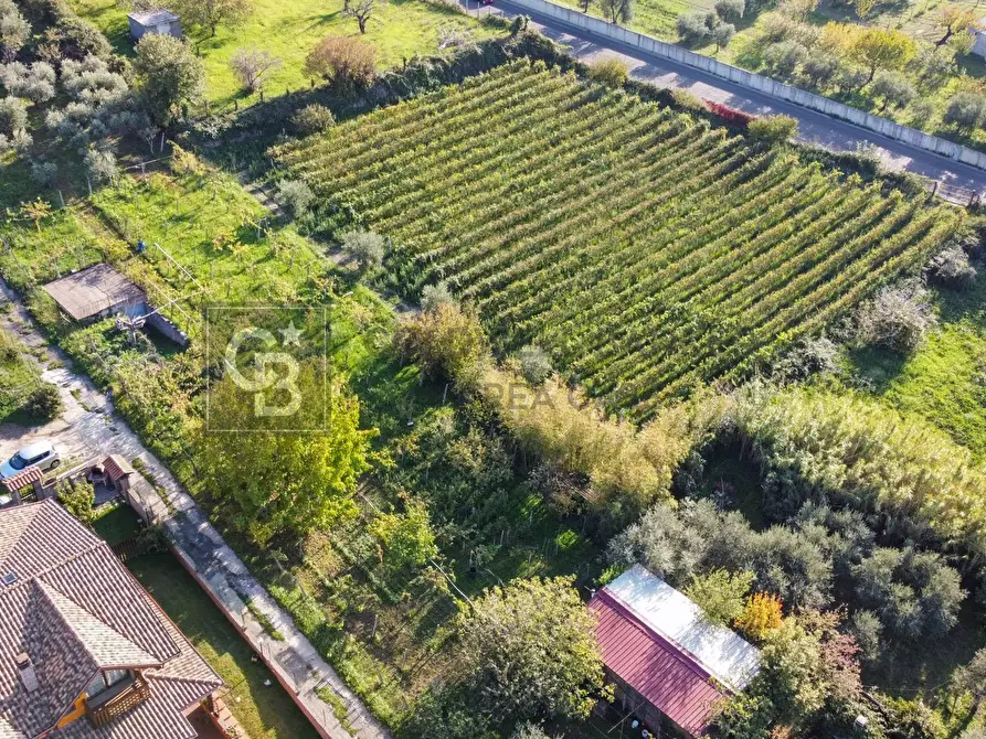 Immagine 3 di Terreno agricolo in vendita  in Via Castel de Paolis a Grottaferrata
