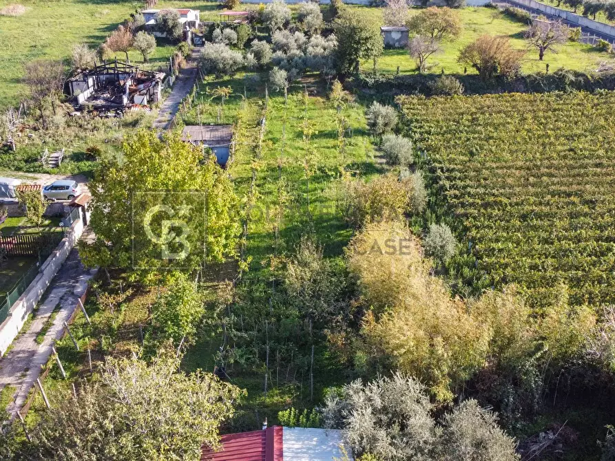Immagine 4 di Terreno agricolo in vendita  in Via Castel de Paolis a Grottaferrata