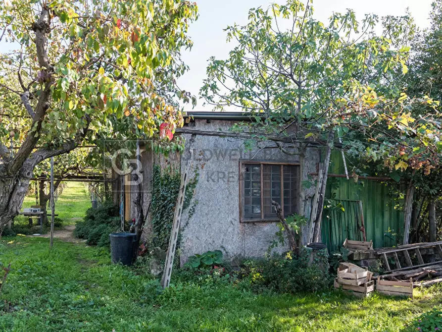 Immagine 8 di Terreno agricolo in vendita  in Via Castel de Paolis a Grottaferrata