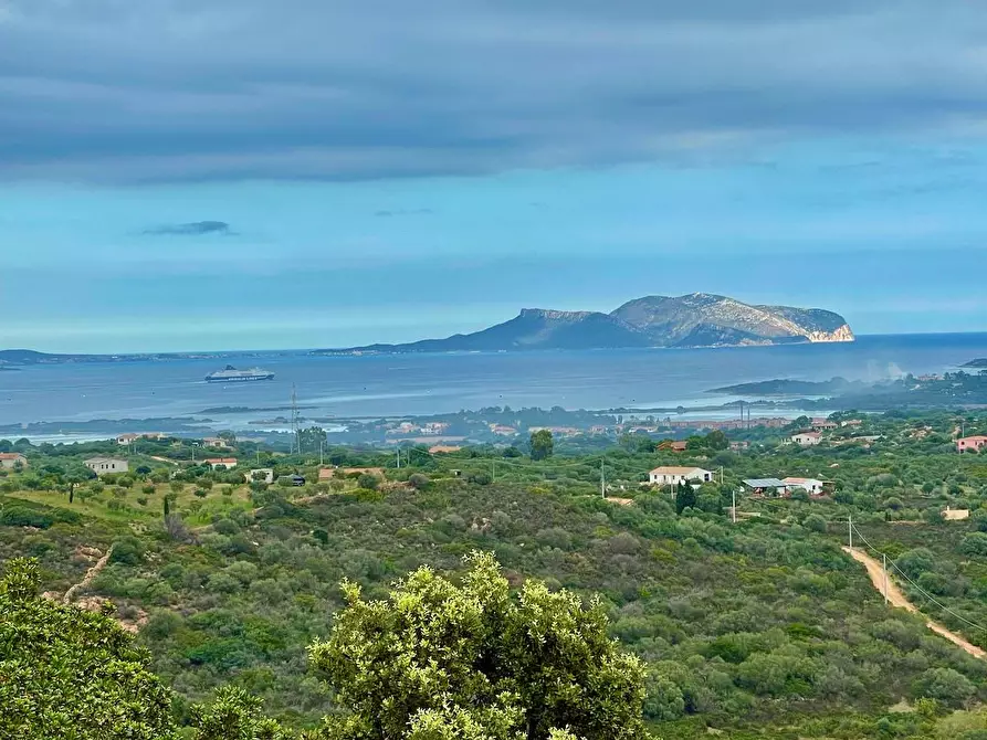 Immagine 1 di Villa in vendita  in VIA DELLA MELISSA a Olbia