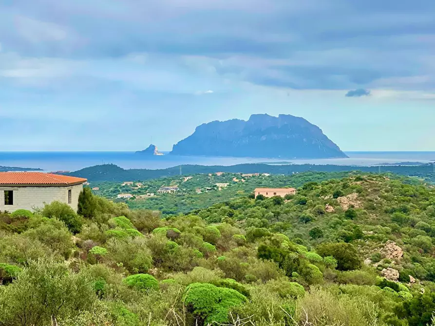 Immagine 1 di Villa in vendita  in VIA DELLA MELISSA a Olbia