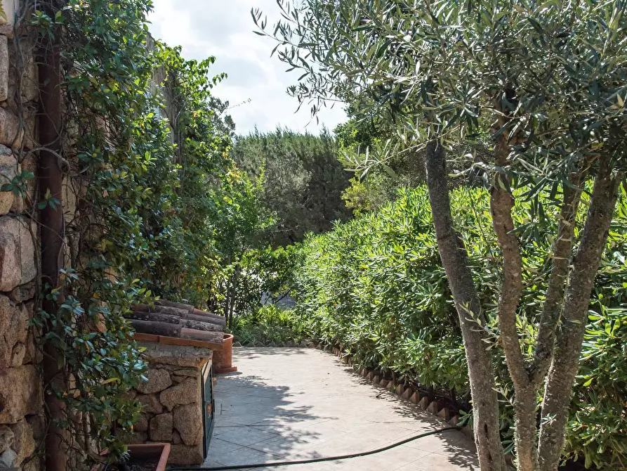 Immagine 21 di Villa in vendita  in Punta Molara a San Teodoro