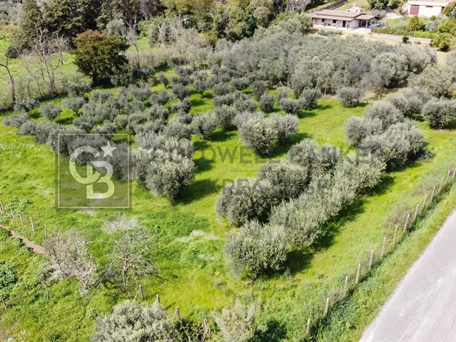 Immagine 1 di Terreno agricolo in vendita  in Via Della Falcognana a Roma