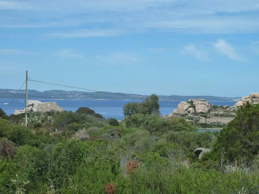 Immagine 3 di Terreno residenziale in vendita  in Nido d'aquila a La Maddalena