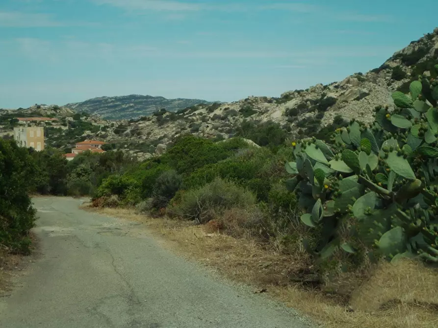 Immagine 11 di Terreno residenziale in vendita  in Nido d'aquila a La Maddalena