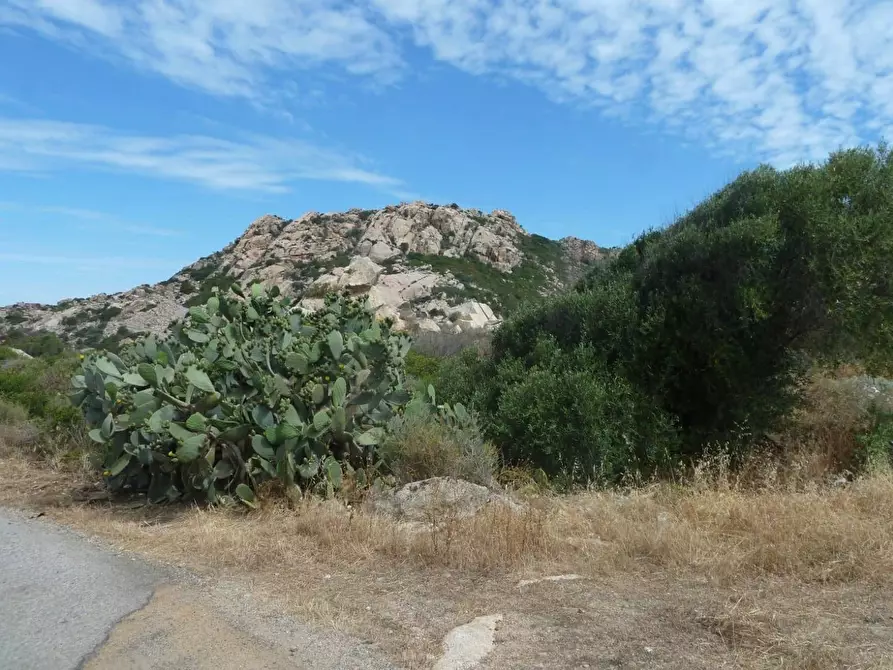 Immagine 12 di Terreno residenziale in vendita  in Nido d'aquila a La Maddalena