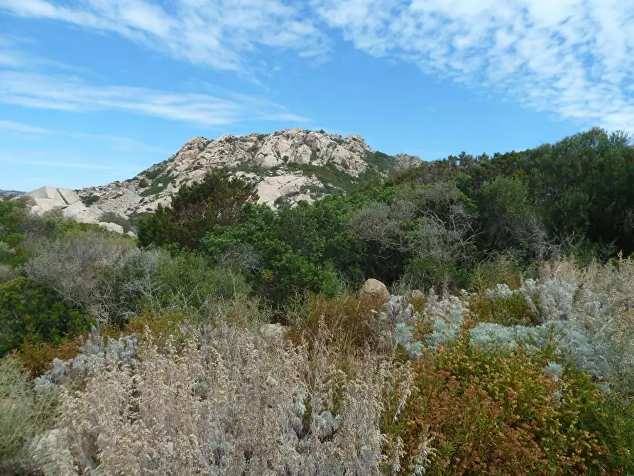 Immagine 13 di Terreno residenziale in vendita  in Nido d'aquila a La Maddalena