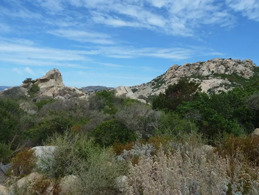 Immagine 14 di Terreno residenziale in vendita  in Nido d'aquila a La Maddalena