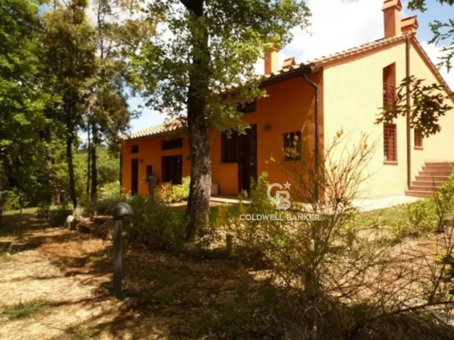 Immagine 3 di Appartamento in vendita  in Località camporbiano a Gambassi Terme