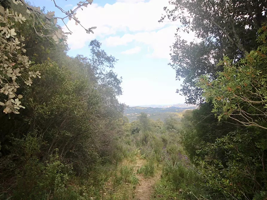 Immagine 29 di Rustico / casale in vendita  in strada statale a Sant'antonio Di Gallura