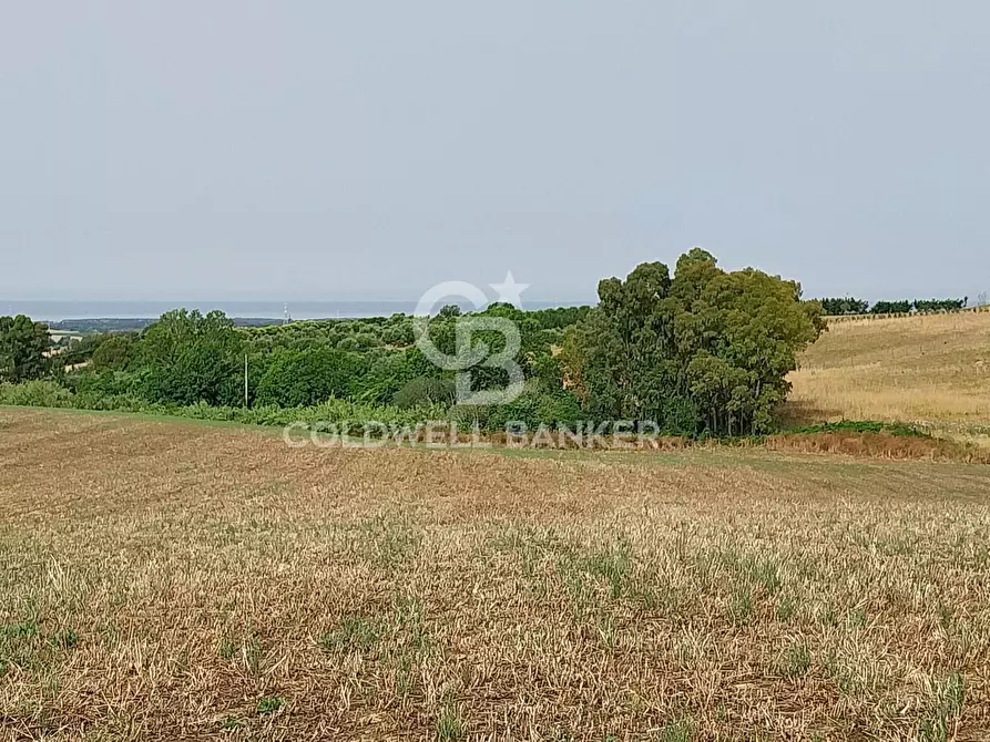 Immagine 6 di Rustico / casale in vendita  in Località Fontanil della Torre a Tarquinia