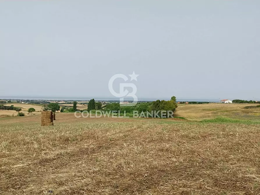 Immagine 9 di Rustico / casale in vendita  in Località Fontanil della Torre a Tarquinia