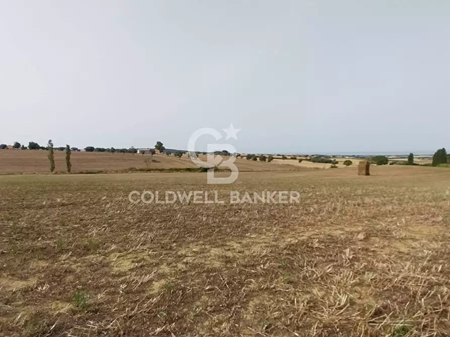 Immagine 3 di Rustico / casale in vendita  in Località Fontanil della Torre a Tarquinia