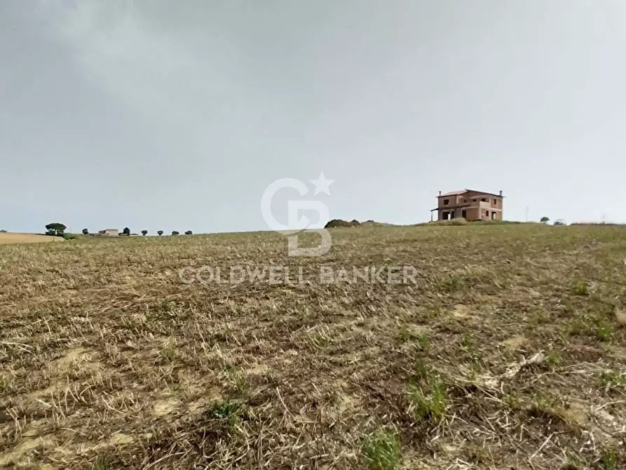 Immagine 5 di Rustico / casale in vendita  in Località Fontanil della Torre a Tarquinia