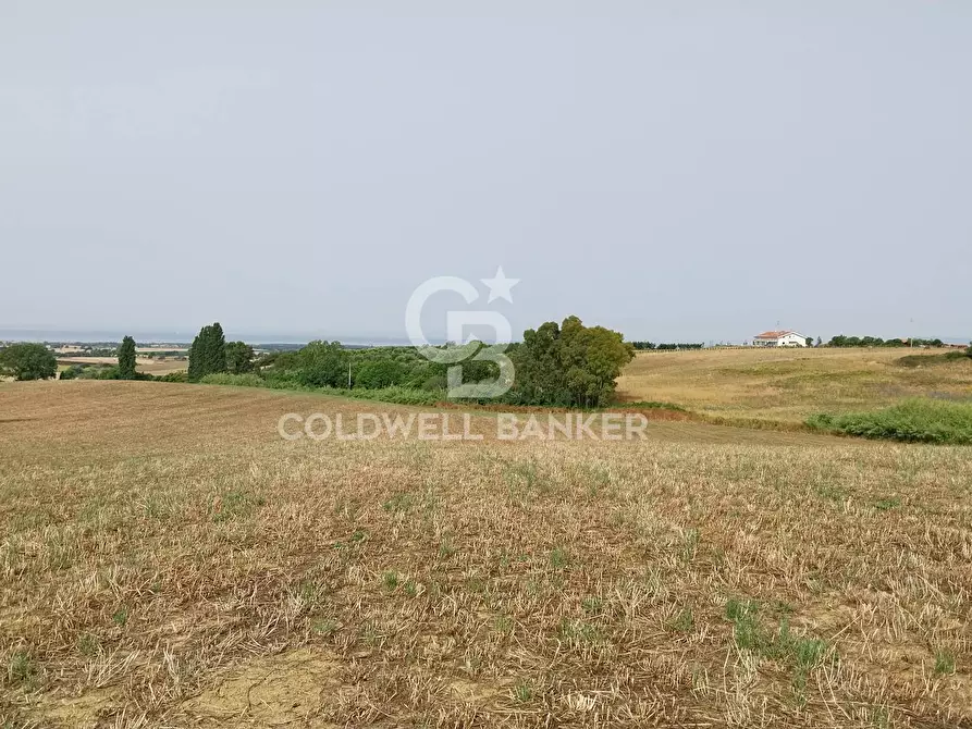 Immagine 7 di Rustico / casale in vendita  in Località Fontanil della Torre a Tarquinia