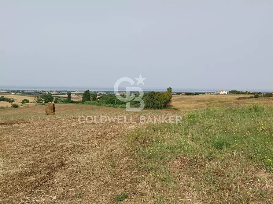 Immagine 11 di Rustico / casale in vendita  in Località Fontanil della Torre a Tarquinia