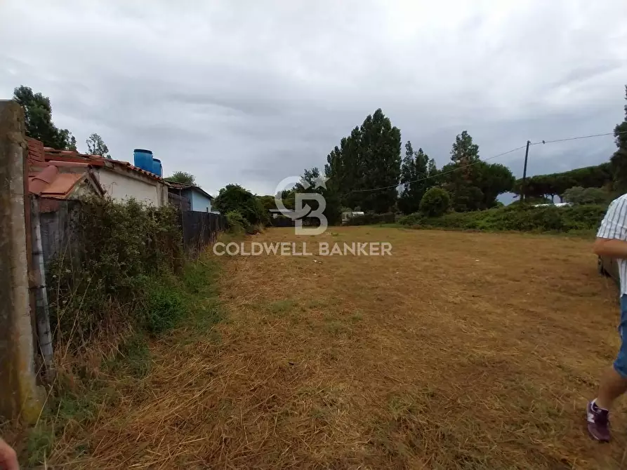 Immagine 2 di Terreno agricolo in vendita  in Via del Mare a Tarquinia