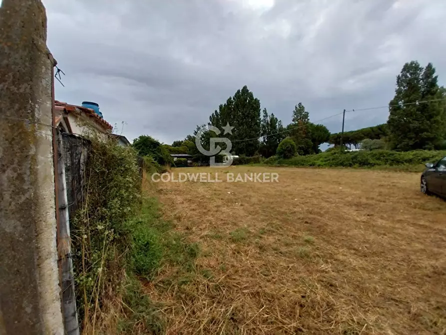 Immagine 3 di Terreno agricolo in vendita  in Via del Mare a Tarquinia