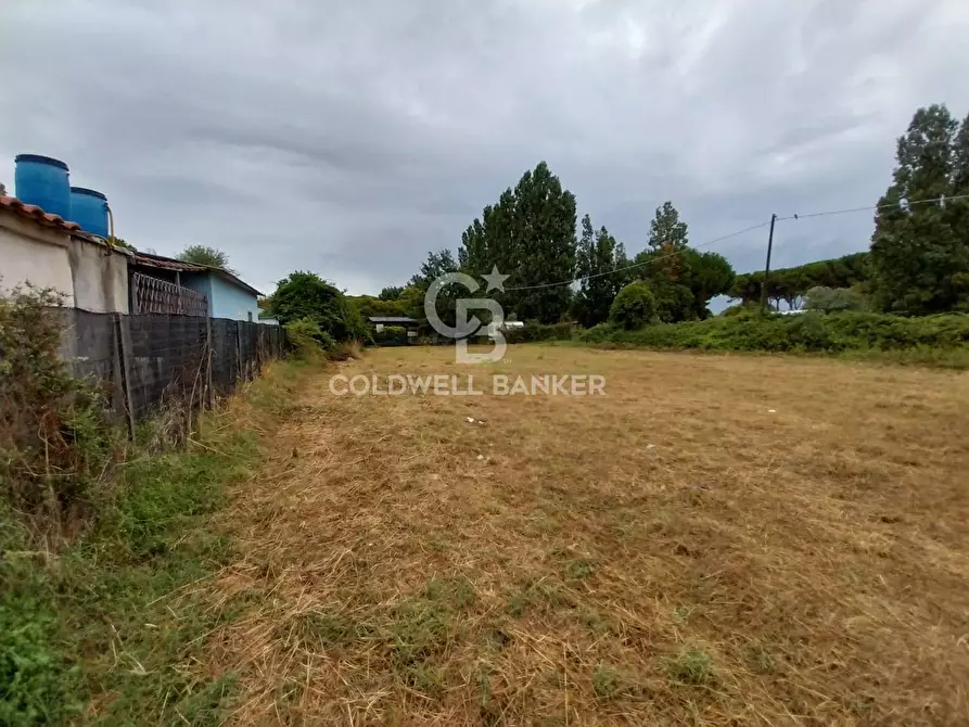 Immagine 4 di Terreno agricolo in vendita  in Via del Mare a Tarquinia