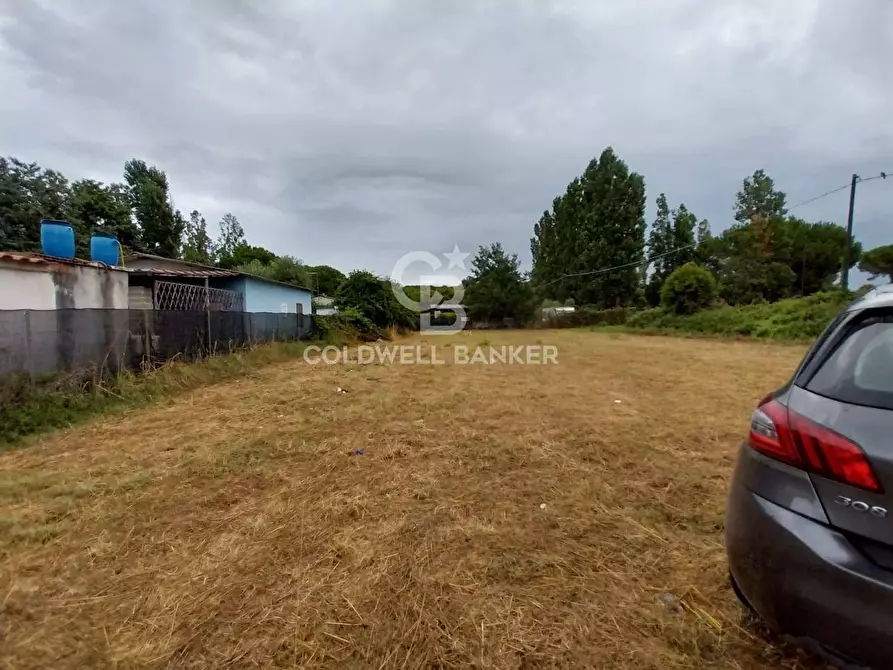 Immagine 5 di Terreno agricolo in vendita  in Via del Mare a Tarquinia