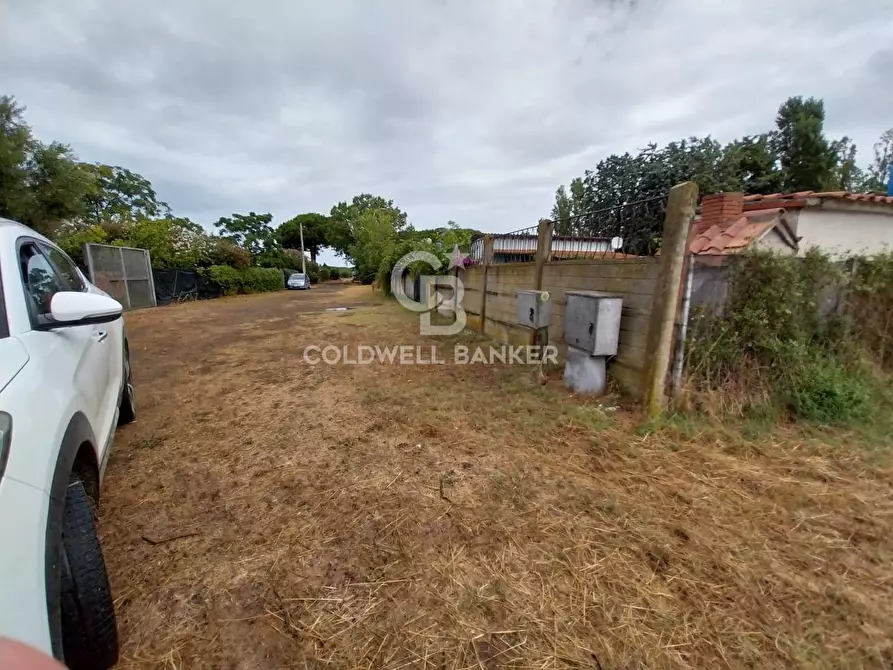 Immagine 6 di Terreno agricolo in vendita  in Via del Mare a Tarquinia