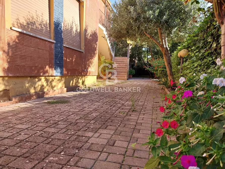 Immagine 3 di Appartamento in vendita  in Via Quintiana a Tarquinia