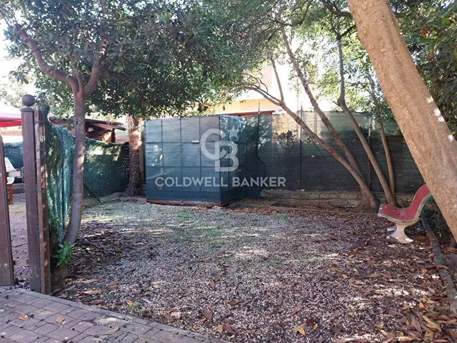 Immagine 4 di Appartamento in vendita  in Via Quintiana a Tarquinia