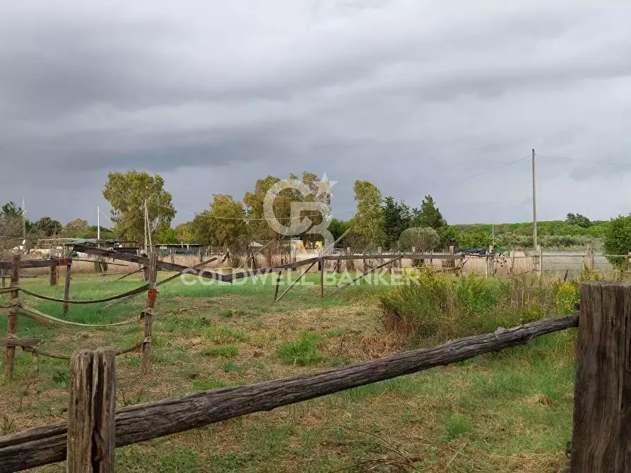 Immagine 1 di Terreno agricolo in vendita  in Viale Etruria a Tarquinia