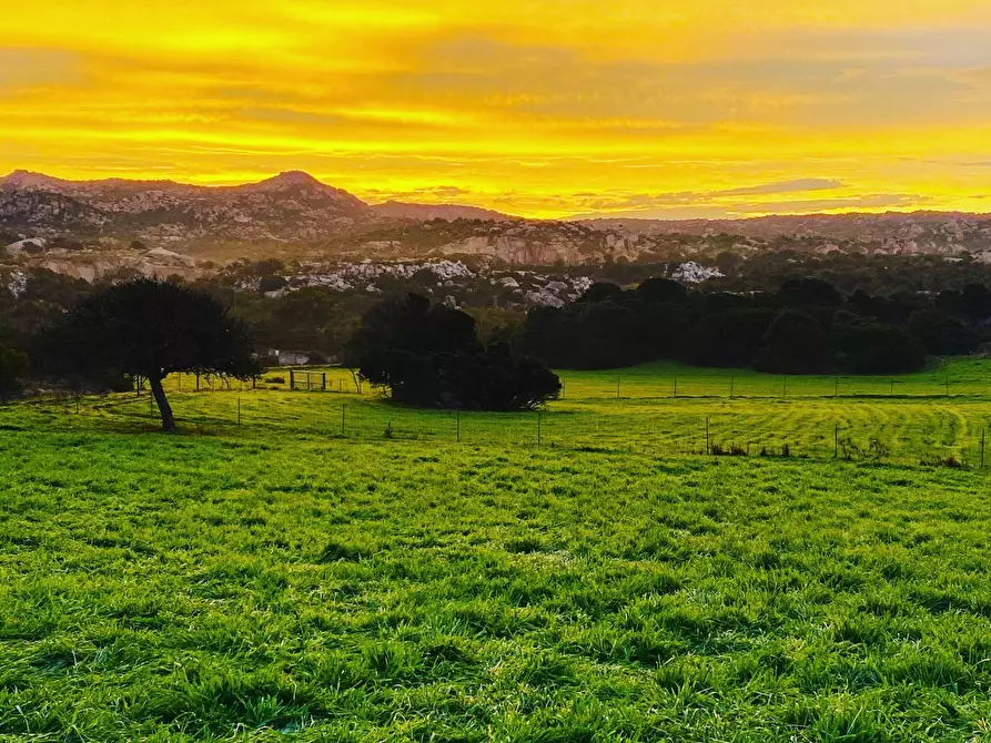 Immagine 4 di Attività commerciale in vendita  in Località Nicola Calta a Arzachena