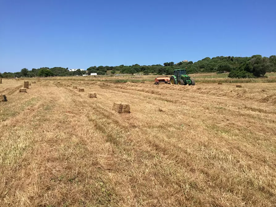 Immagine 9 di Attività commerciale in vendita  in Località Nicola Calta a Arzachena