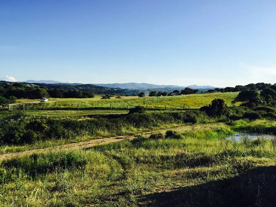 Immagine 10 di Attività commerciale in vendita  in Località Nicola Calta a Arzachena