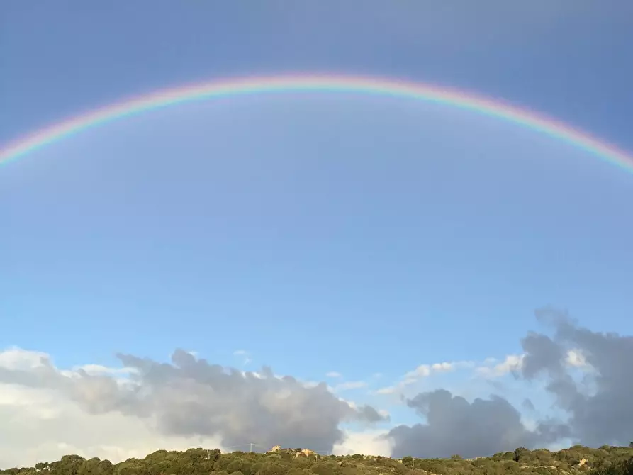 Immagine 13 di Attività commerciale in vendita  in Località Nicola Calta a Arzachena