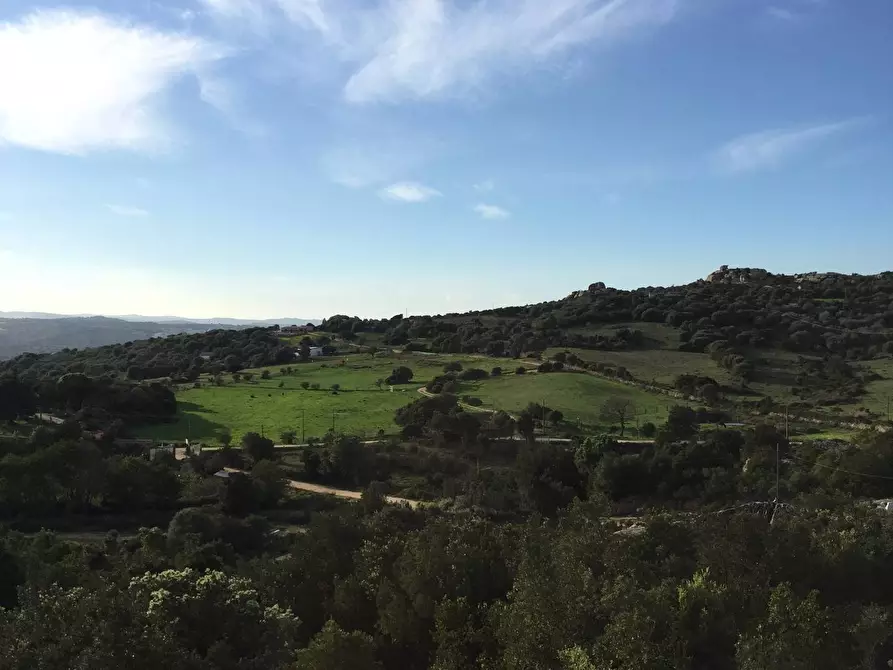 Immagine 15 di Attività commerciale in vendita  in Località Nicola Calta a Arzachena