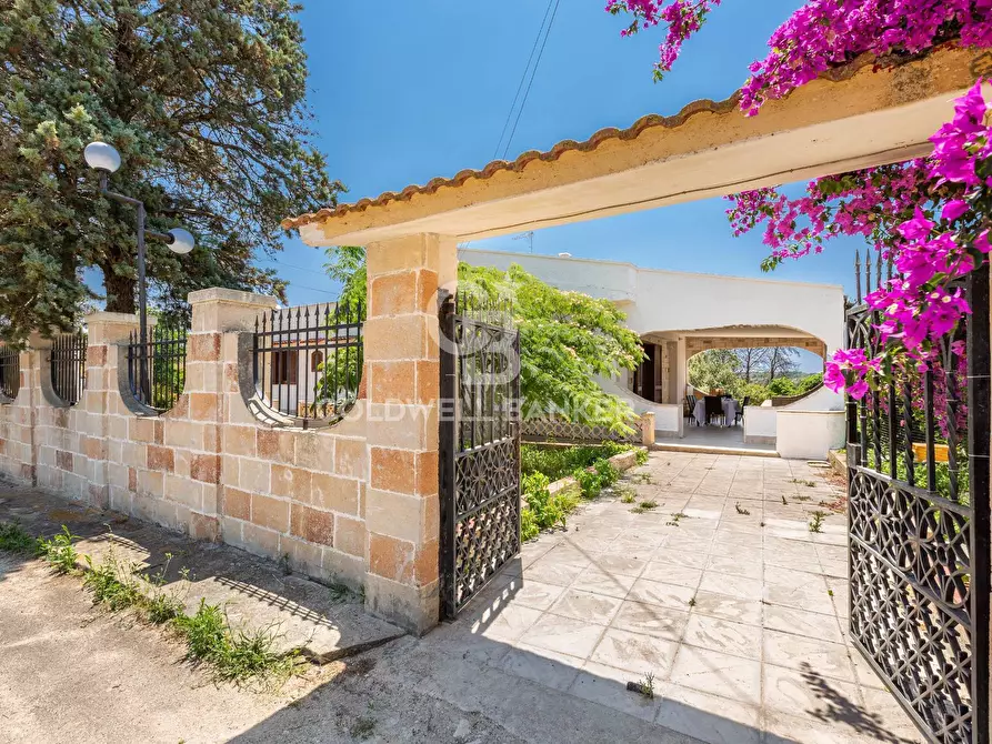 Immagine 1 di Villa in vendita  in Via Laura Bassi a Porto Cesareo