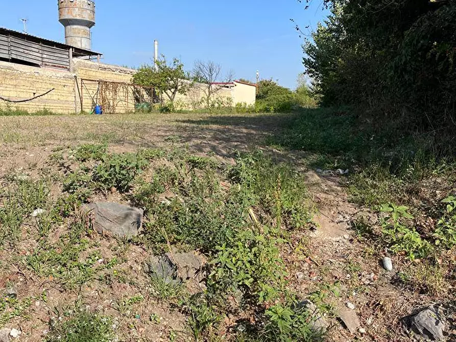 Immagine 1 di Terreno agricolo in affitto  in via Farina a Ercolano