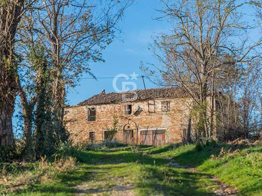 Immagine 1 di Rustico / casale in vendita  in via Contrada Montericco a Mondavio